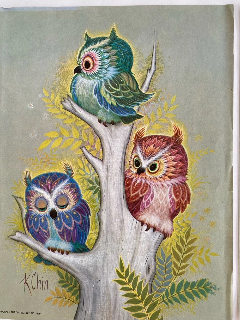VINTAGE 1973 Owl Lithograph Set Of 4 9